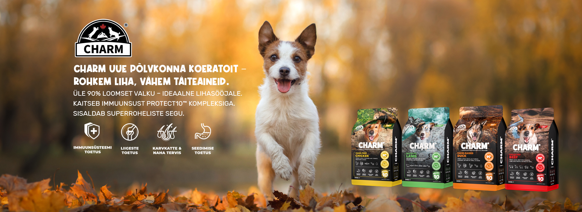CHarm Koera bänner.jpg (900 KB)